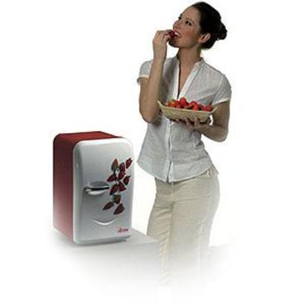 Přenosná chladnička Ardes TK45/F1 strawberry (1)