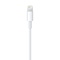Lightning kabel Apple Lightning, 1m, MFi - bílý (1)