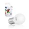 LED žárovka Whitenergy SMD2835 G45 E27 7W teplá bílá (4)