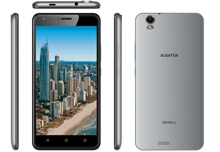 Mobilní telefon Aligator S5510 Grey (1)