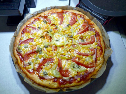 Multifunkční pizza pec Domo DO9177PZ (12)