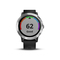 GPS hodinky Garmin vivoActive3 Optic Siver, Black band (1)