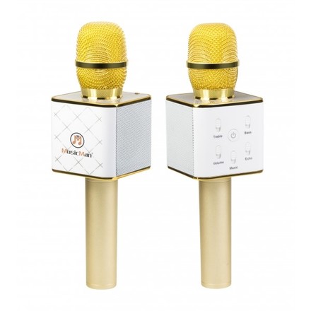 Přenosný reproduktor Technaxx MusicMan BT-X31 s karaoke mikrofonem