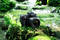 Digitální zrcadlovka Nikon D750 tělo (3)