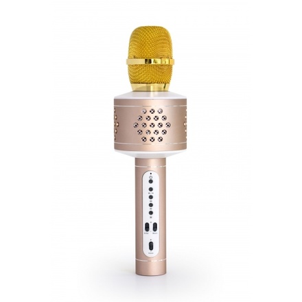 Přenosný reproduktor Technaxx MusicMan PRO BT-X35 s karaoke mikrofonem, zlatý/ stříbrný