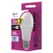 LED žárovka Emos ZQ5142 Classic A60 9W E27 studená bílá (2)