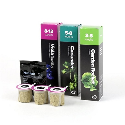 Bylinky do chytré zahradky Plantui Basil 3 kapsle bazalka (1)