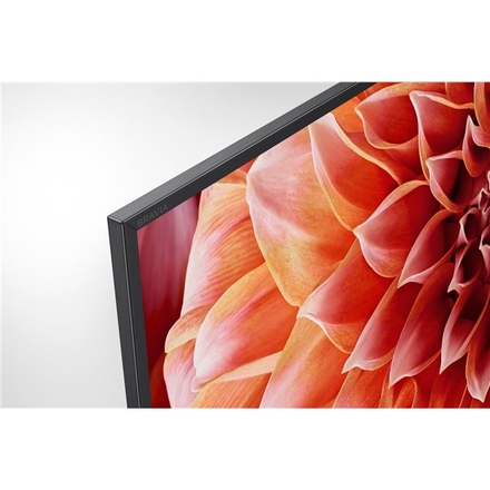 UHD LED televize Sony Bravia KD-65XF9005 (6)