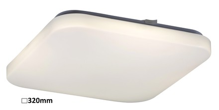 Stropní svítidlo Rabalux 2287 LED Stropní svítidlo ROB 1xLED/32W/230V (1)
