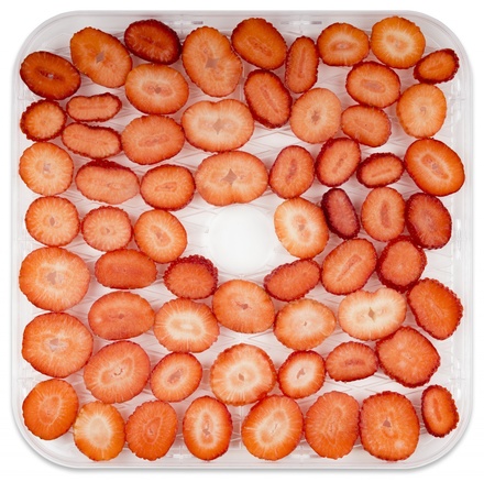 Sušička ovoce Professor SP4310 (16)