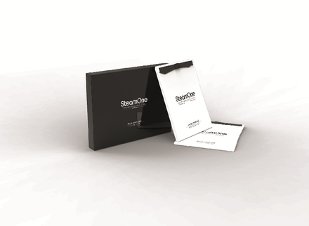Napařovací žehlící systém SteamOne Stilys (16)