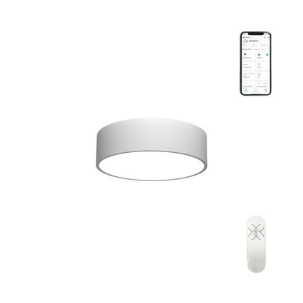 Stropní svítidlo Immax 07024L