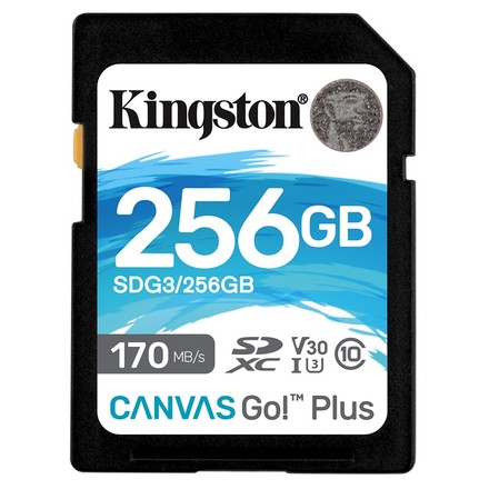 Paměťová karta Kingston SDXC UHS-I U3 256GB SDG3/256GB