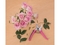 Zahradnické nůžky Extol Lady (9272) na květiny, 180mm (2)