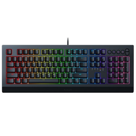 Počítačová klávesnice Razer Cynosa V2 RZ03-03400100-R3M1
