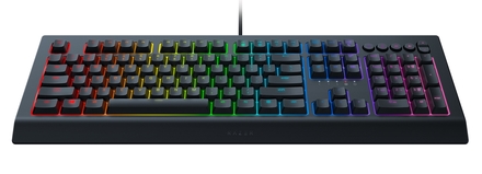 Počítačová klávesnice Razer Cynosa V2 RZ03-03400100-R3M1 (1)