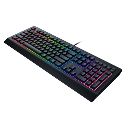 Počítačová klávesnice Razer Cynosa V2 RZ03-03400100-R3M1 (3)