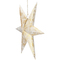 Vánoční osvětlení Retlux RXL 363 hvězda zlatá 10LED WW (1)