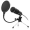 Mikrofon Niceboy VOICE - černý (1)