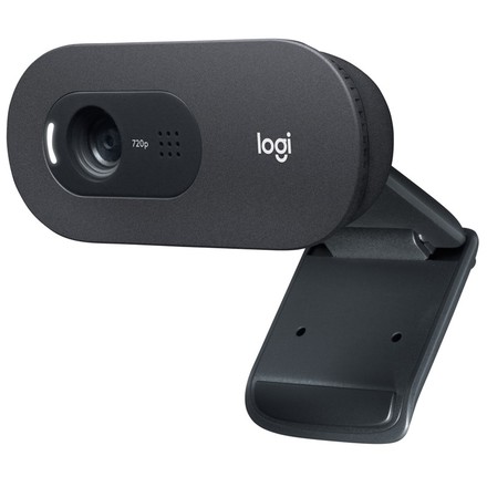 Webkamera Logitech C505e HD Business - černá