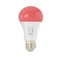 LED žárovka Immax NEO LITE Smart LED E27 9W RGB+CCT barevná a bílá, stmívatelná, WiFi (1)