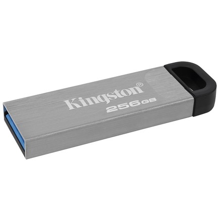 USB Flash disk Kingston DataTraveler Kyson 256GB USB 3.2 - stříbrný