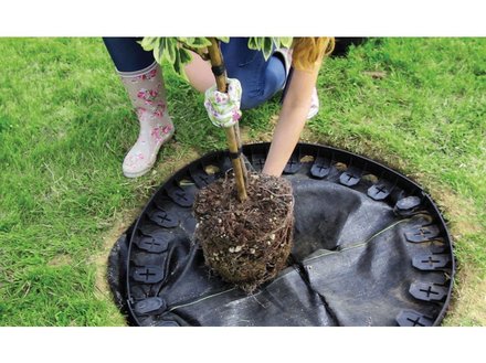 Obrubník Prosperplast BORDER 0645 4, 5cmx4, 8m (1)