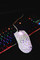 Počítačová myš Canyon Puncher GM-20 / optická/ 7 tlačítek/ 12000DPI - bílá (5)