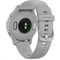 Chytré hodinky Garmin VENU 2S Silver/Gray (4)