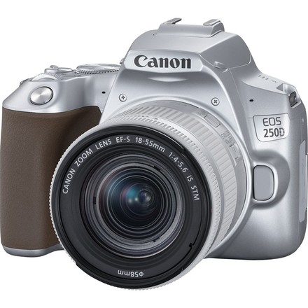 Digitální zrcadlovka Canon EOS 250D + 18-55 IS STM, stříbná