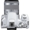 Digitální zrcadlovka Canon EOS 250D + 18-55 IS STM, bílá (3)