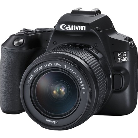 Digitální zrcadlovka Canon EOS 250D + 18-55 DC III