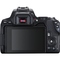 Kompaktní fotoaparát s vyměnitelným objektivem Canon EOS 250D + 18-55 IS STM + baterie navíc, černá (5)