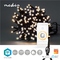 Vánoční osvětlení Nedis SmartLife LED, Wi-Fi, Teplá bílá, 200 LED, 20 m, Android / IOS (1)