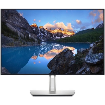LED monitor Dell U2421E