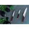 Sada nožů Berlingerhaus BH-2485 nerez 3 ks Ebony Line Rosewood (5)