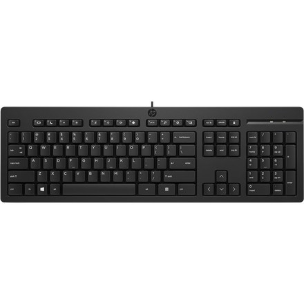 Počítačová klávesnice HP 125, CZ/ SK layout - černá
