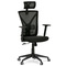 Kancelářská židle Autronic Židle kancelářská, černá mesh, plastový kříž (KA-Q851 BK) (1)