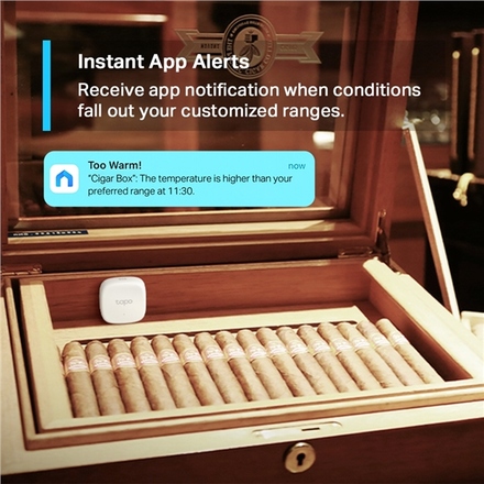 Teplotní senzor TP-Link Tapo T310, chytrý teplotní senzor (3)