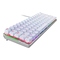 Počítačová klávesnice Asus ROG FALCHION ACE (NX RED/ PBT) - US - bílá (5)