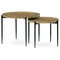 Konferenční stoly Autronic Set 2ks konferenčních stolů, MDF dekor divoký dub, černé kovové nohy (AF-601 OAK) (1)