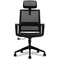 Kancelářská židle Connect IT ForHealth GamaPro - černá (2)