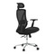 Kancelářská židle Autronic Židle kancelářská, černá MESH, plastový kříž (KA-S258 BK) (11)