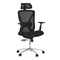 Kancelářská židle Autronic Židle kancelářská, černá MESH, plastový kříž (KA-S258 BK) (12)