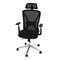 Kancelářská židle Autronic Židle kancelářská, černá MESH, plastový kříž (KA-S258 BK) (13)