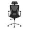 Kancelářská židle Autronic Židle kancelářská, černá MESH, plastový kříž (KA-S258 BK) (1)