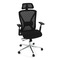 Kancelářská židle Autronic Židle kancelářská, černá MESH, plastový kříž (KA-S258 BK) (24)