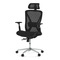 Kancelářská židle Autronic Židle kancelářská, černá MESH, plastový kříž (KA-S258 BK) (2)