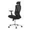 Kancelářská židle Autronic Židle kancelářská, černá MESH, plastový kříž (KA-S258 BK) (3)