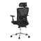 Kancelářská židle Autronic Židle kancelářská, černá MESH, plastový kříž (KA-S258 BK) (6)